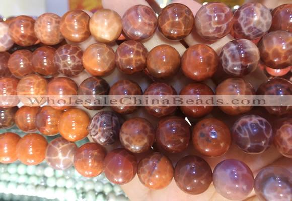 AGBS316 15 inches 12mm round red dragon veins agate beads wholesale
