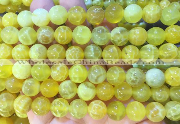 AGBS320 15 inches 10mm round yellow dragon veins agate beads wholesale