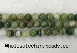 CAA1986 15.5 inches 16mm round banded agate gemstone beads