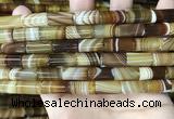 CAA4179 15.5 inches 8*16mm tube line agate beads wholesale