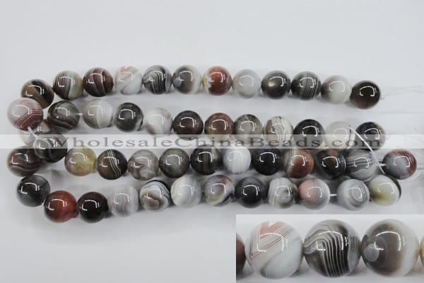 CAG3686 15.5 inches 16mm round botswana agate beads wholesale