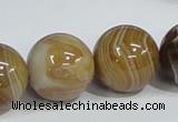 CAG943 16 inches 20mm round madagascar agate gemstone beads