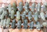 CBBS142 Centre drilled 6*20mm - 11*35mm hexahedral prism labradorite beads