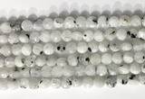 CCB756 15.5 inches 8mm faceted coin white moonstone beads