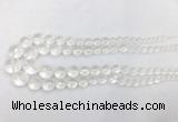 CCBS11 15 inches 6mm - 18mm faceted round white crystal beads wholesale