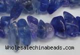 CCH294 34 inches 8*12mm dyed kyanite chips gemstone beads wholesale