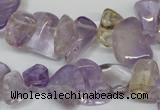 CCH314 15.5 inches 10*15mm ametrine chips gemstone beads wholesale