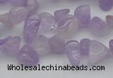 CCH641 15.5 inches 6*8mm - 10*14mm lavender amethyst chips beads