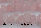 CCH654 15.5 inches 8*12mm - 10*14mm rose quartz chips beads