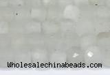 CCU830 15 inches 4mm faceted cube white moonstone beads