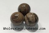 CDN1115 30mm round zebra jasper decorations wholesale