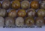 CFC202 15.5 inches 8mm round fossil coral beads wholesale