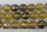 CFL454 15.5 inches 10mm faceted round rainbow fluorite beads