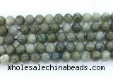 CLB1223 15.5 inches 10mm round labradorite gemstone beads