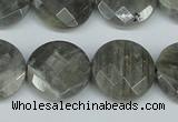 CLB193 15.5 inches 20mm faceted coin labradorite gemstone beads