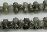 CLB630 15.5 inches 4*9mm bone AB-color labradorite beads