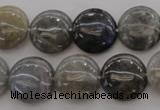 CLB737 15.5 inches 18mm flat round labradorite gemstone beads