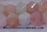 CMG226 15.5 inches 12*14mm - 14*16mm faceted nuggets morganite beads