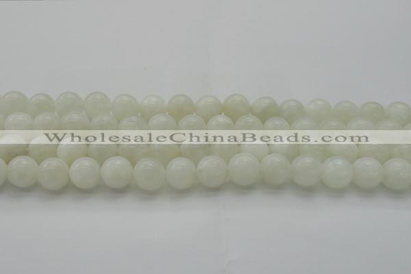 CMS1032 15.5 inches 8mm round A grade white moonstone beads