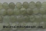 CMS1051 15.5 inches 6mm round grey moonstone beads wholesale