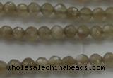 CMS1066 15.5 inches 4mm faceted round grey moonstone beads wholesale