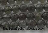 CMS1071 15.5 inches 6mm round grey moonstone beads wholesale
