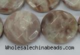 CMS114 15.5 inches 25mm faceted coin moonstone gemstone beads