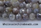 CMS1310 15.5 inches 4mm faceted round AB-color grey moonstone beads