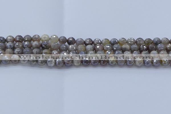 CMS1311 15.5 inches 6mm faceted round AB-color grey moonstone beads