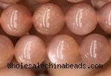 CMS1476 15.5 inches 8mm round moonstone beads wholesale