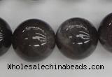 CMS148 15.5 inches 14mm round natural grey moonstone beads