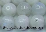 CMS1492 15.5 inches 10mm round white moonstone beads wholesale