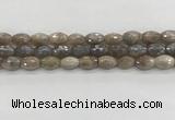 CMS1775 15.5 inches 8*12mm faceted rice AB-color moonstone beads