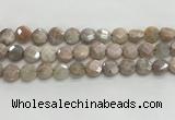 CMS1789 15.5 inches 10mm faceted coin AB-color moonstone beads