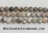 CMS1790 15.5 inches 12mm faceted coin AB-color moonstone beads