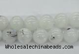 CMS204 15.5 inches 10mm round moonstone gemstone beads wholesale