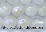 CMS2101 15 inches 8mm round AB-color moonstone beads
