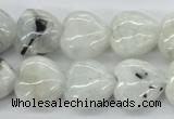 CMS214 15.5 inches 16*16mm heart moonstone gemstone beads wholesale