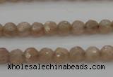 CMS940 15.5 inches 4mm faceted round A grade moonstone gemstone beads