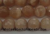CMS942 15.5 inches 8mm faceted round A grade moonstone gemstone beads