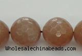 CMS946 15.5 inches 16mm faceted round A grade moonstone gemstone beads