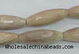CMS95 15.5 inches 10*30mm faceted rice moonstone gemstone beads