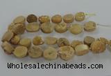 CNG3144 15.5 inches 12*16mm - 20*25mm freeform druzy agate beads