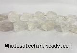 CNG3558 15.5 inches 18*20mm - 25*30mm nuggets rough white crystal beads
