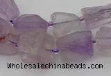 CNG5242 15.5 inches 8*12mm - 15*25mm nuggets amethyst beads