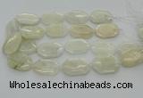 CNG6927 20*30mm - 35*45mm faceted freeform white moonstone beads