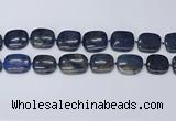 CNG7117 15.5 inches 20*25mm - 25*30mm freeform blue dumortierite beads