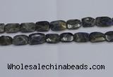 CNG7487 15.5 inches 18*25mm - 20*30mm faceted freeform labradorite beads