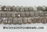 CNG8615 10*13mm - 12*16mm faceted freeform moonstone beads