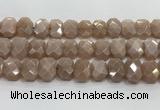 CNG8616 10*13mm - 12*16mm faceted freeform moonstone beads